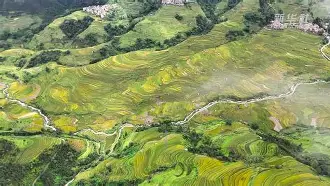 ?腊f/馜E懹P? 